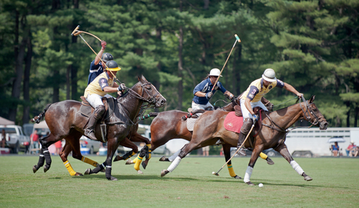 Polo match at Myopia polo grounds in Wenham, MA