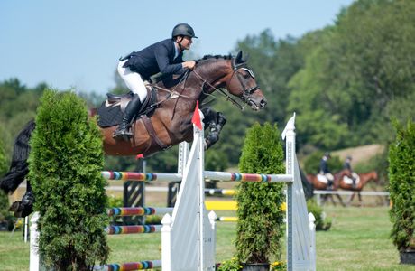 Professional Horse Jumping in Wenham, MA