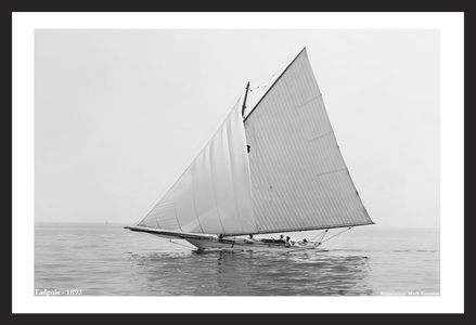 Tadpole 1892 - Vintage Sailboat art print restoration for Interior Design