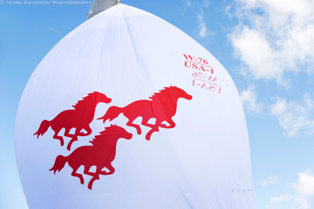 Wild Horses at the Newport Bucket Regatta in Newport, RI 2014
