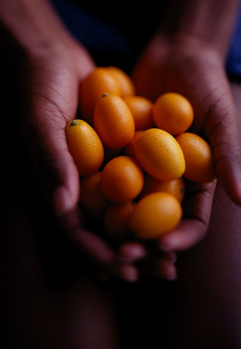HAND-KUMQUAT-copy.jpg