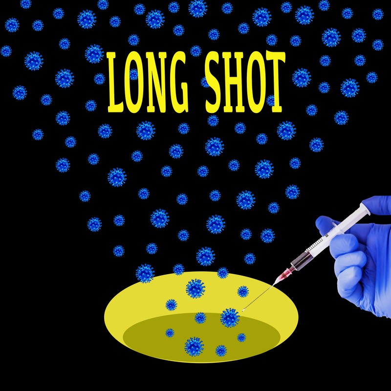 LONG SHOT2 .jpg
