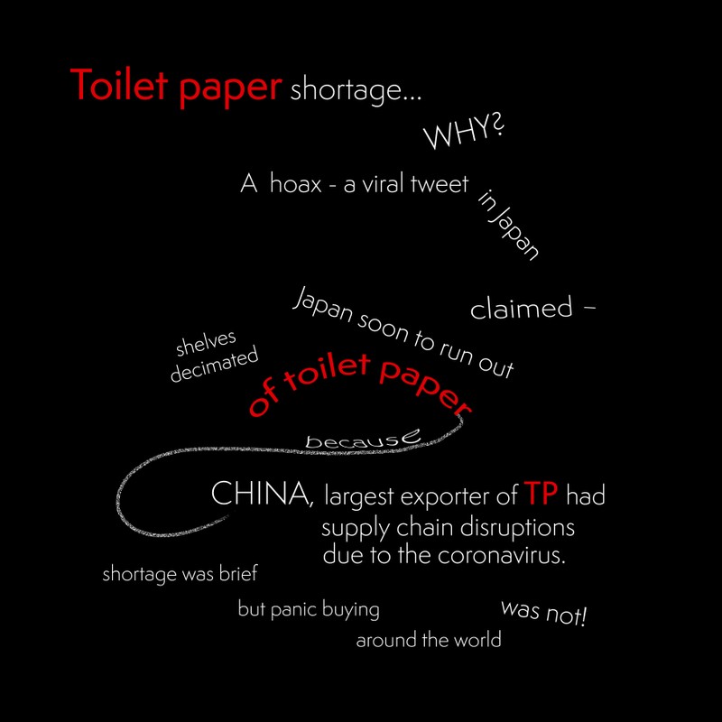 toilet paper.jpg