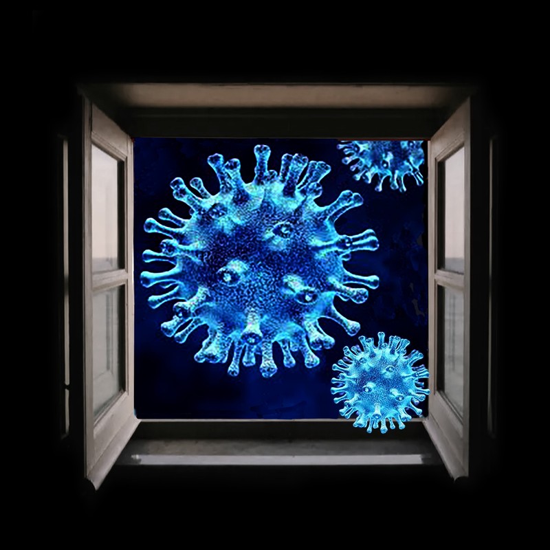 THE VARIANTS WINDOW.jpg