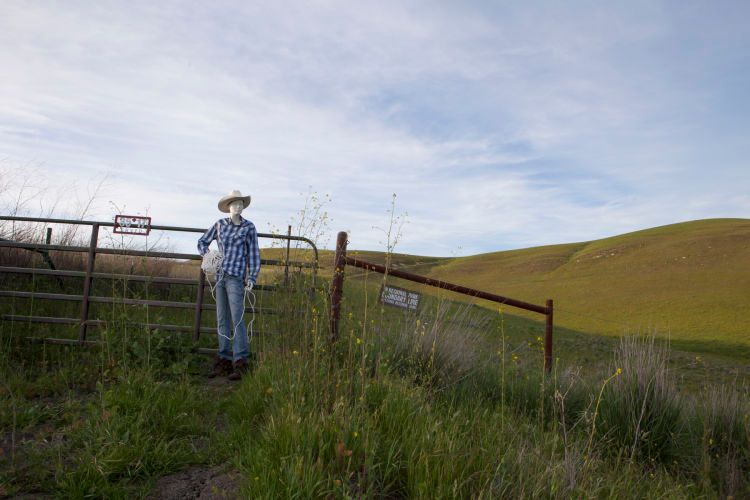 1manniquinsoftball2014f_1160