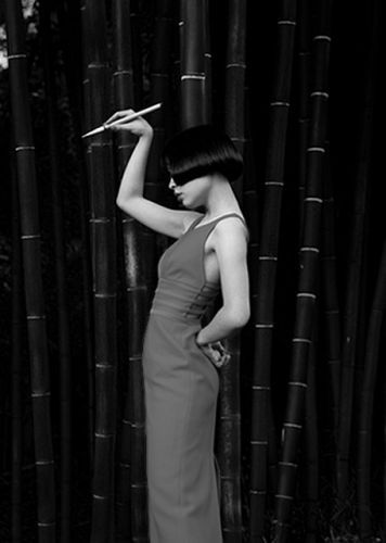 Oriental Swan, in Black and White