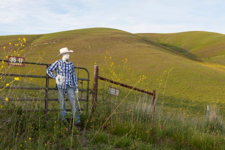 1manniquinsoftball2014f_1176