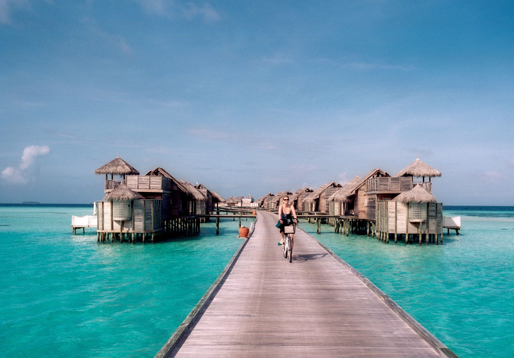 9_0_239_1resized___maldives_double_bike_progress.jpg