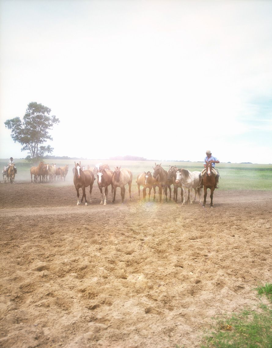 20_1_223_1resized___estancia_03_flare.jpg