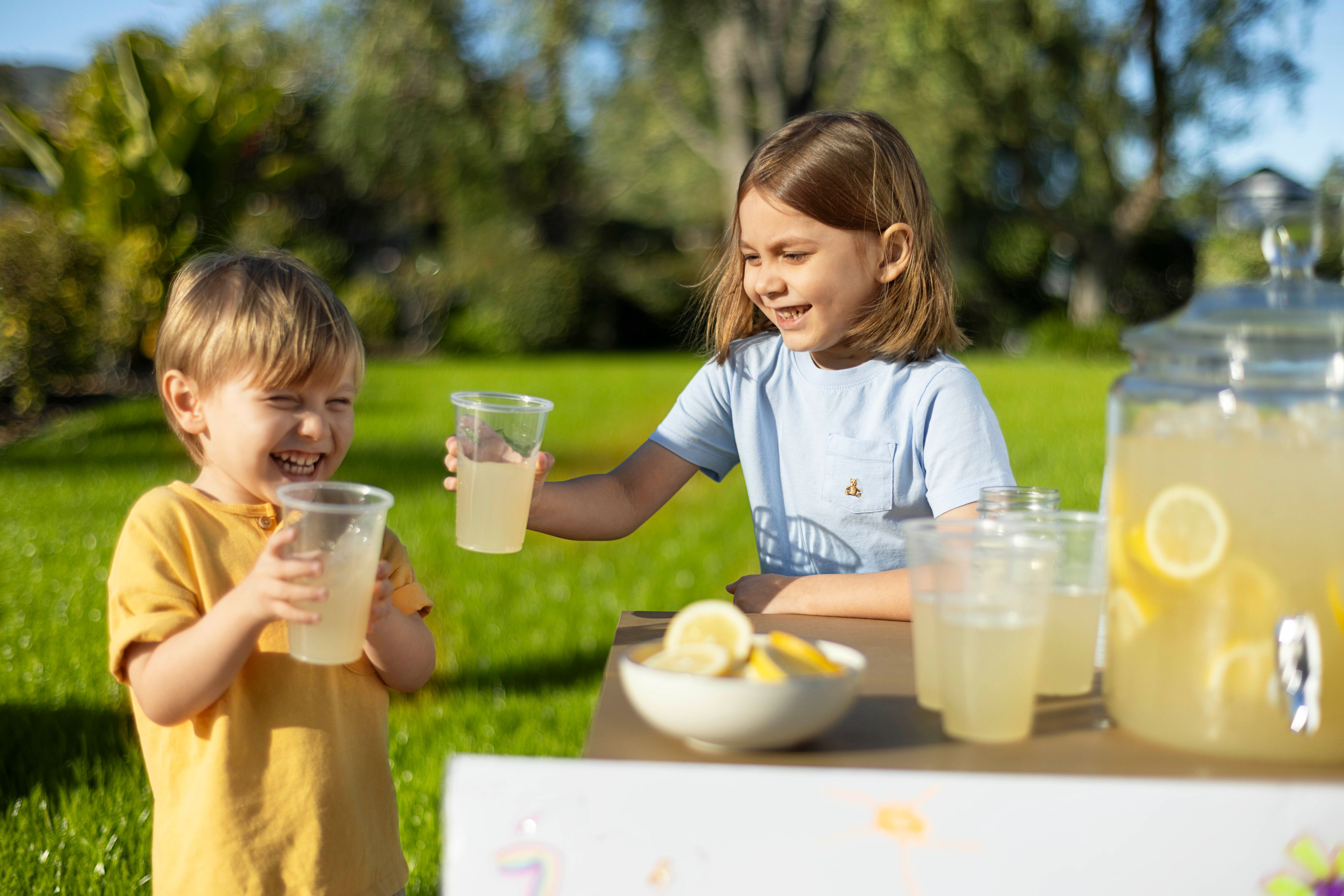 Tier_1_Summer_Seasonal_Scene_5_Lemonade_10036 2 copy.jpg