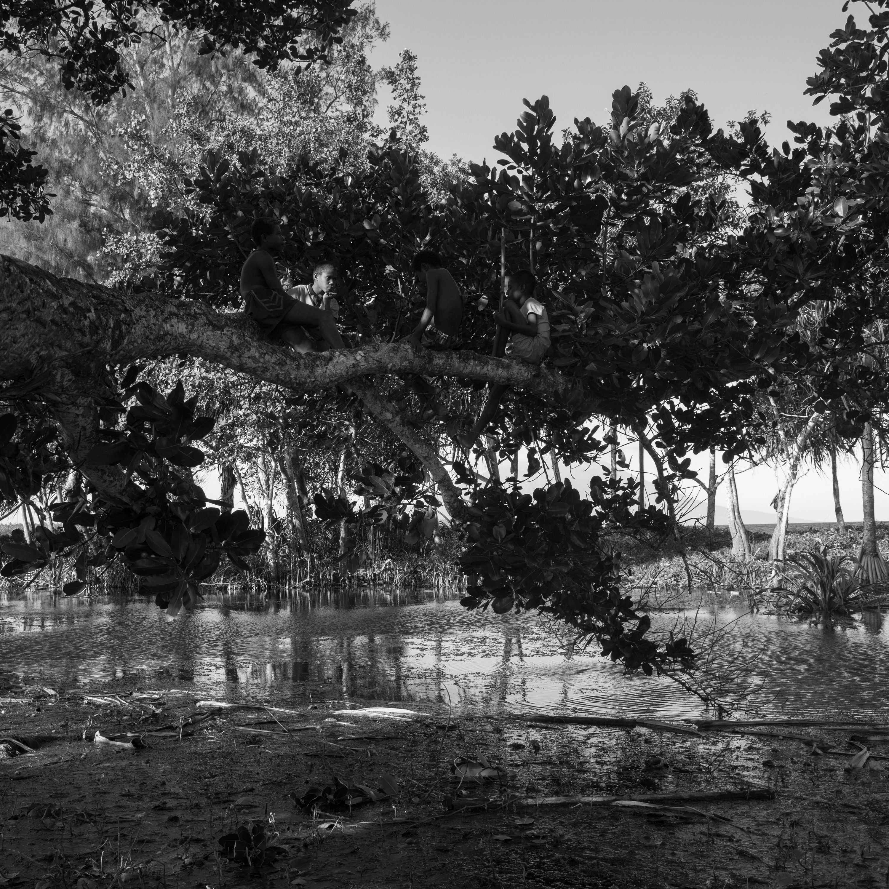 AWAR_website (1 of 1).jpg