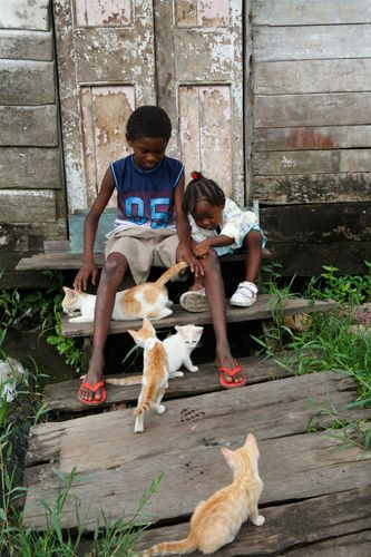 Tafara, 11 years old, lives with his two younger sisters and mother in a small shack. Tafara’s mother works six days a week and it is Tafara who is left to look after his siblings. He is missing out on education and exams. Tafara said ‘I feel angry when I can’t go to school. I am at the house and I do nothing. At school I learn, I see my friends and play cricket’ Georgetown, Guyana. 1guya_gscott_1258.jpg