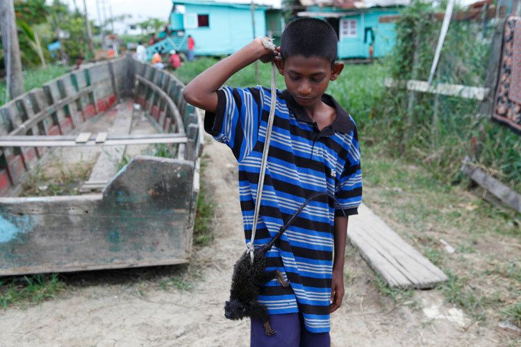 Boy with Pet Monkey. Riverdam community, Georgetown, Guyana. 1guyana_child_abuse_18.jpg