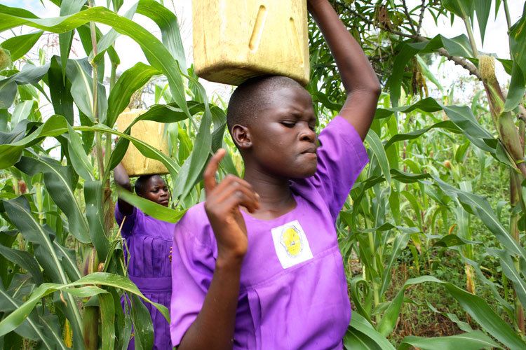 Schoolgirls fetch water from a dirty pond for cooking and drinking. Uganda for ActionAid. 1uganda_education_3.jpg