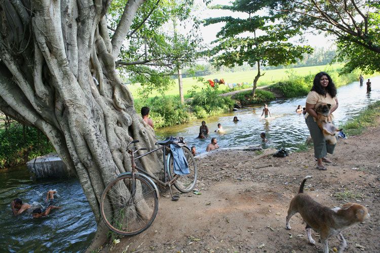 Sunday afternoon. Tissa. Sri lanka. 1sr_lanka_river.jpg