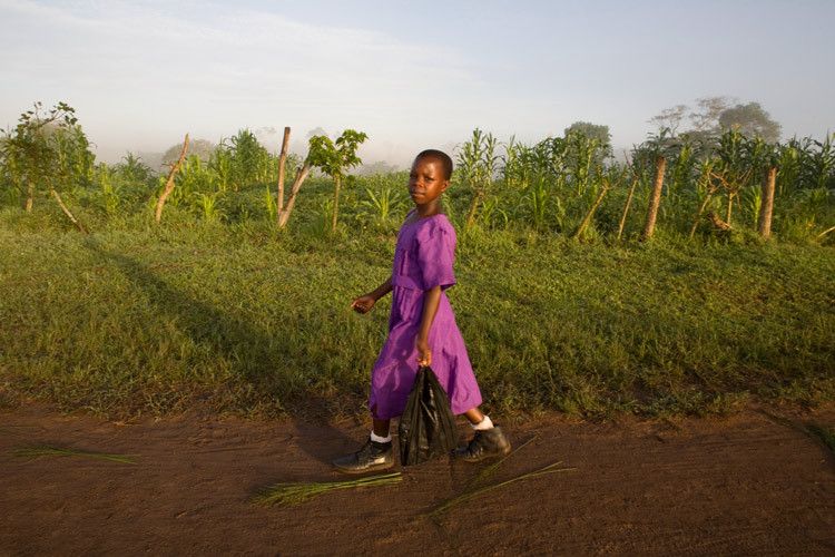 Mary Gorit, 12 years old, walks to school in the morning sun. Kitemba Primary, Mubende, Uganda. 1uganda_education_13.jpg