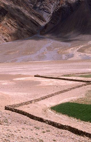 Farming in the mountains. Himalayas, Ladakh, India. 1ladakh_farming_irrigation_india.jpg