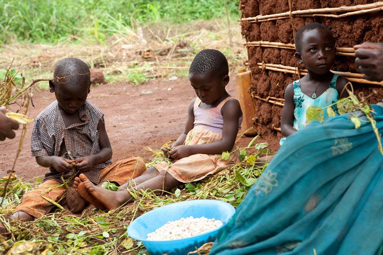 Children help  prepare the evening meal by shelling peas. Masindi district, Uganda. 1uganda_education_food_17.jpg