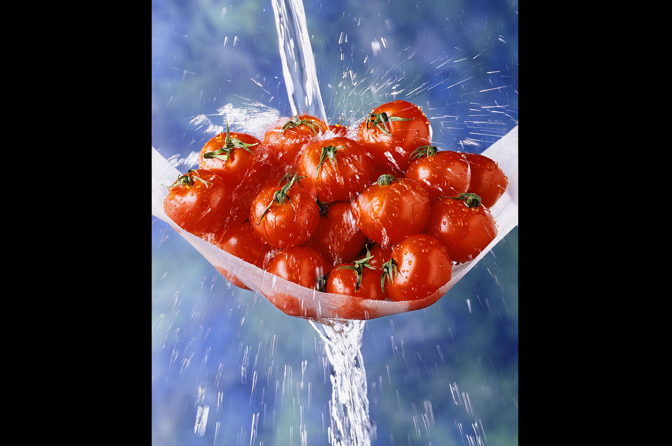 WetTomatoTowel copy.jpg