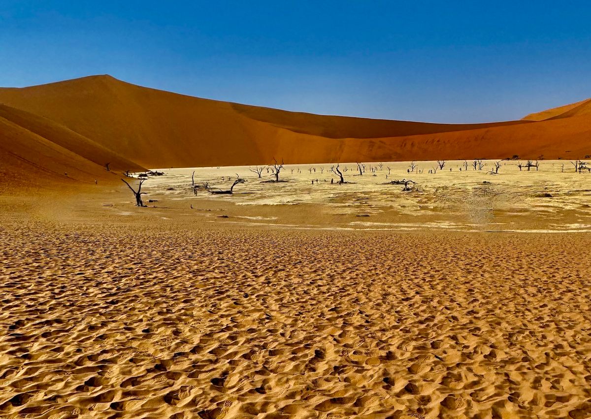 24 namibia deadvlei pan.jpeg