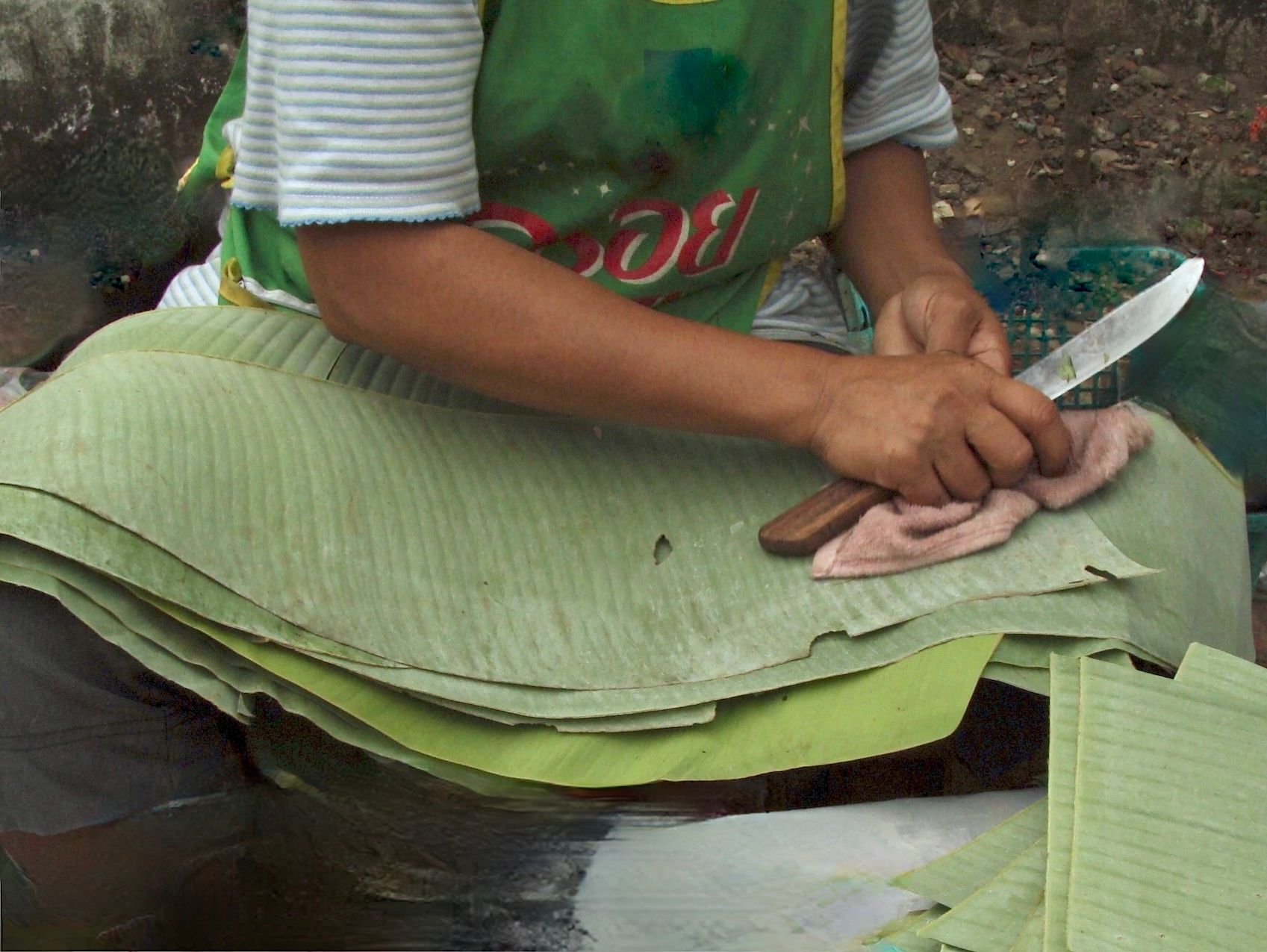  Asia Laos banana leaves.JPG