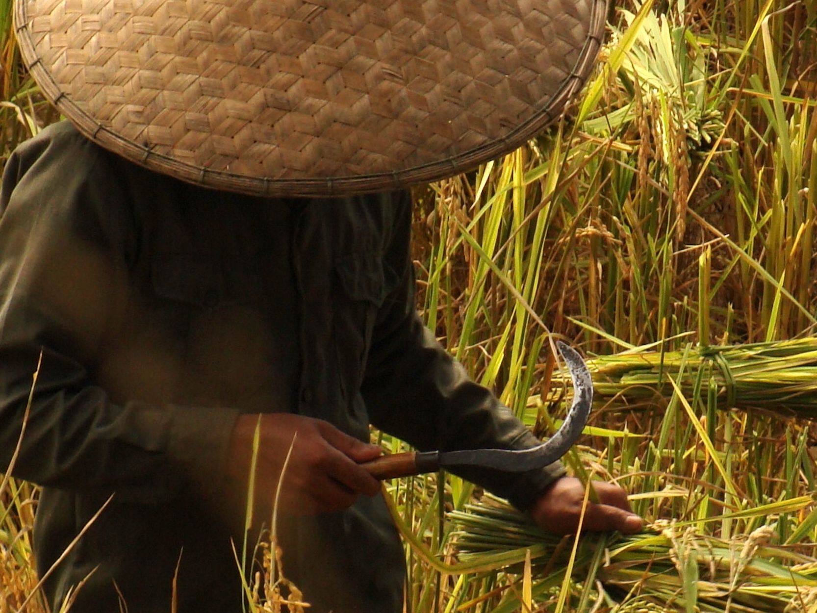 2010 Asia Laos (279).JPG