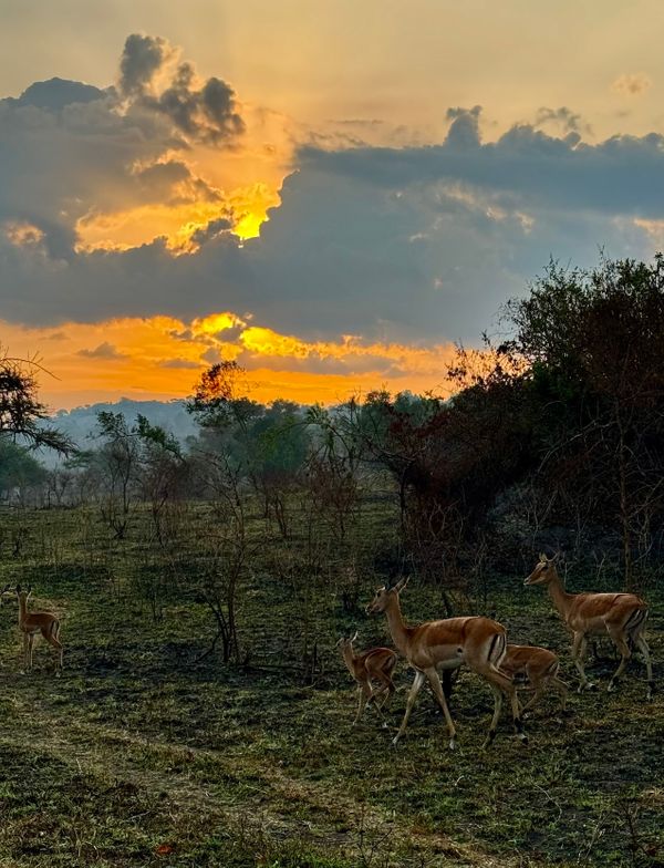 24 namibia sunset1.jpeg