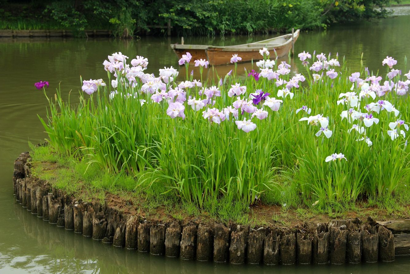 nature2014Japan Yokohama12.JPG