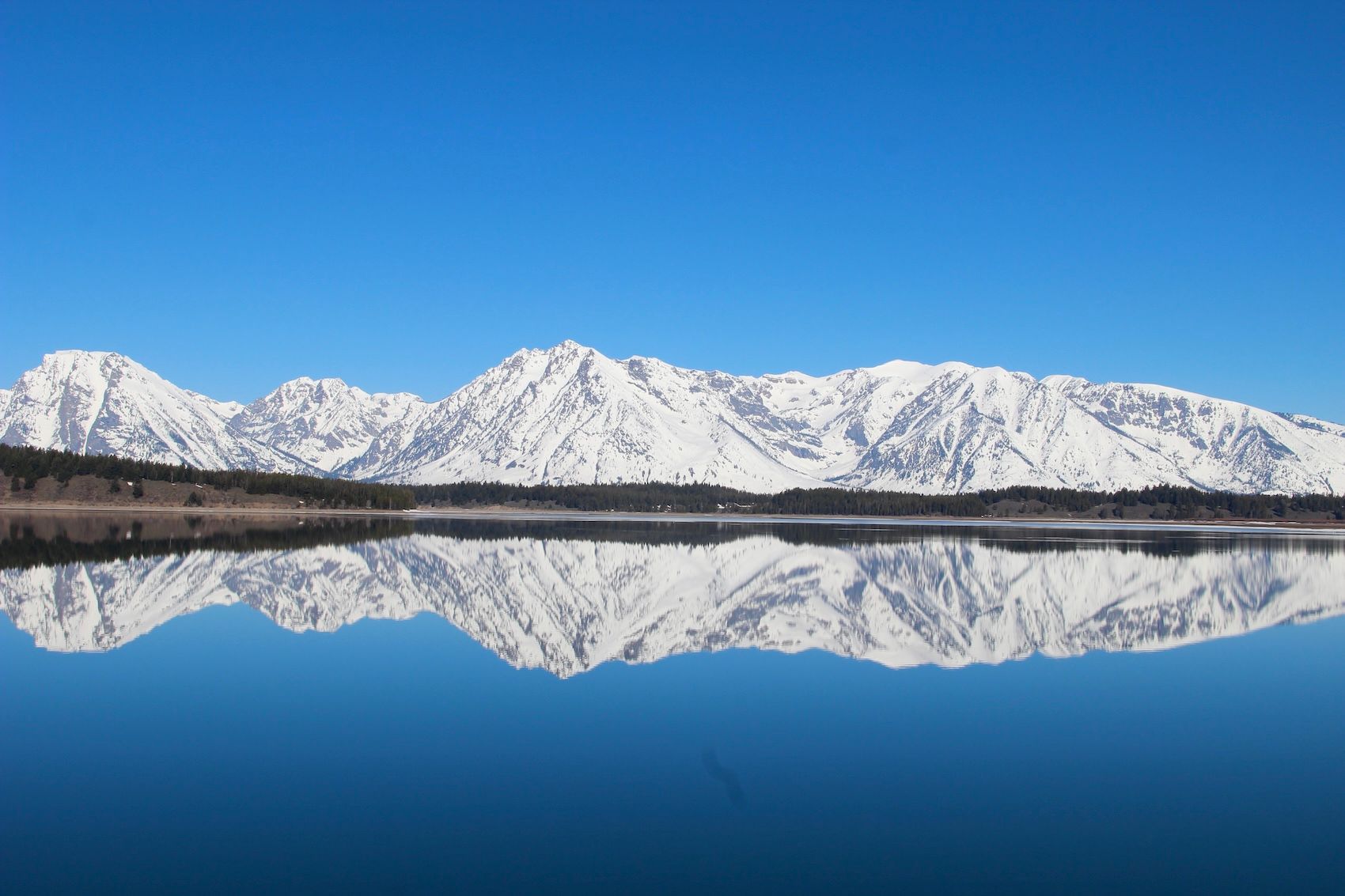 2017Natl Park Yellowstone127.JPG