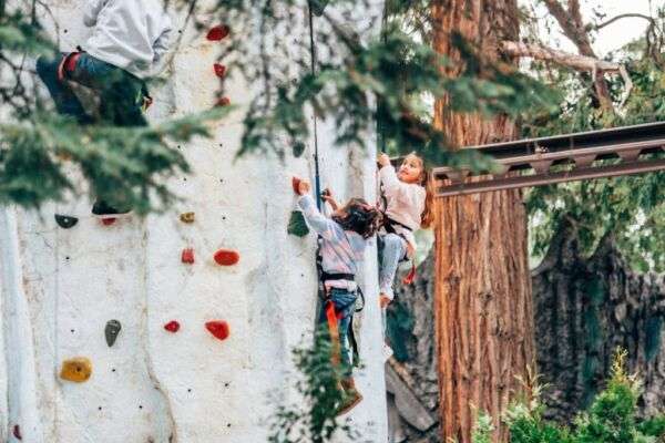 Floki's Frozen Falls Climbing Tower