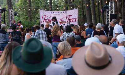 Tunes in the Trees.jpg