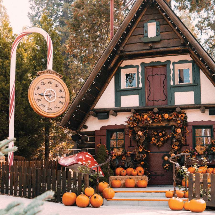 Pumpkins in the Pines.jpg