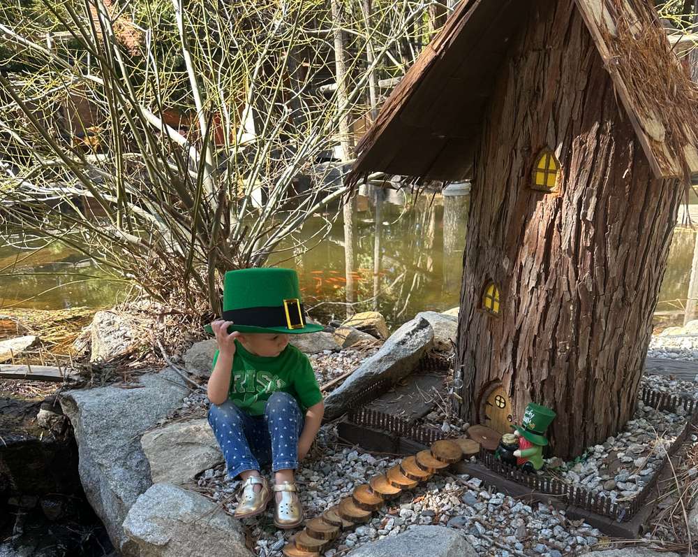Leprechaun Hunt