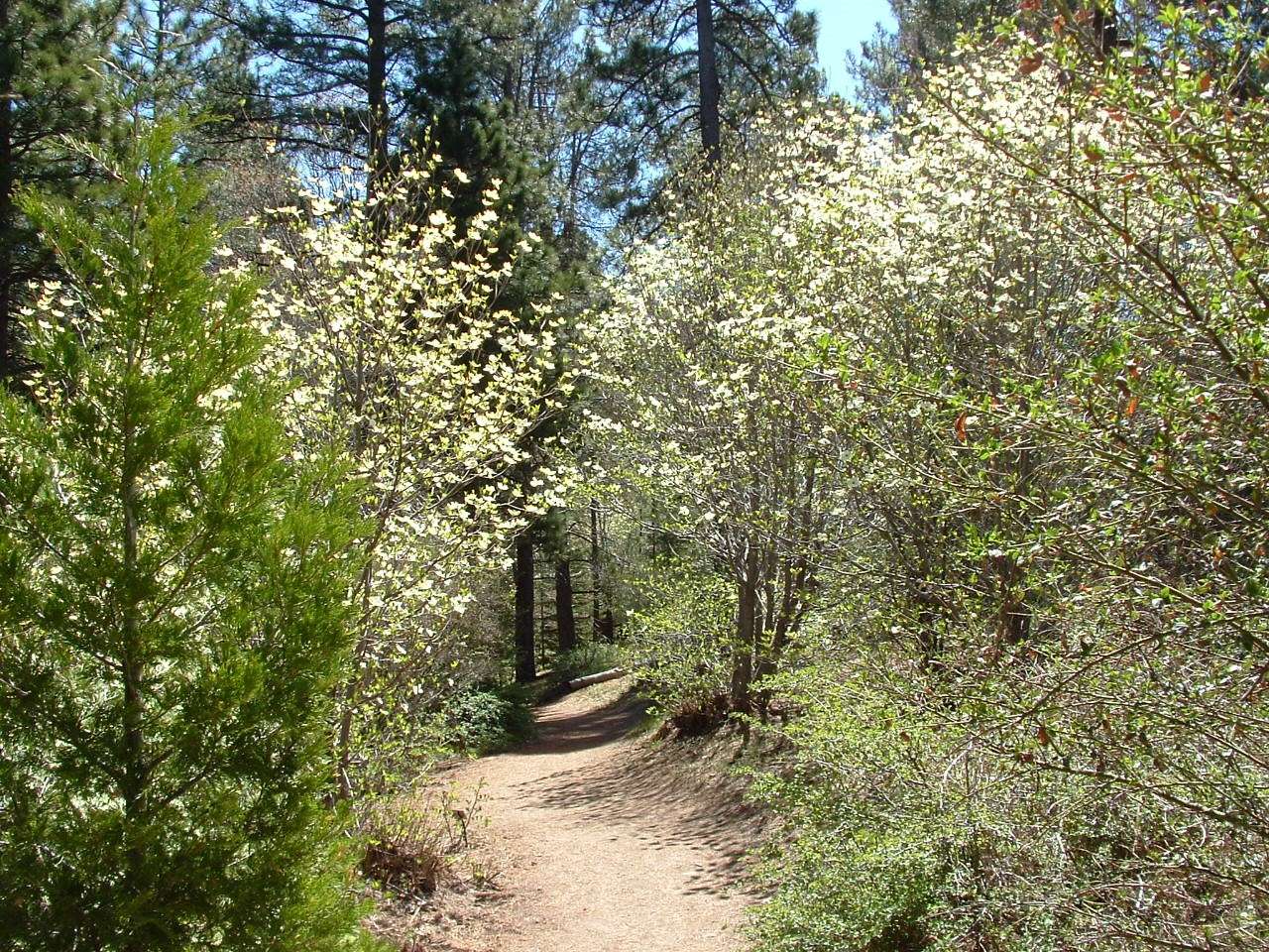Heaps Peak Arboretum Trail