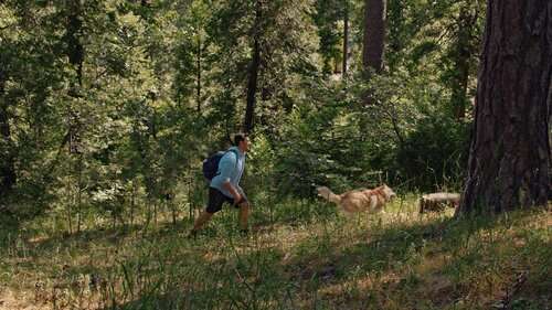 Hiking in the woods