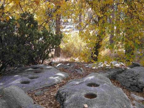 Metate Trail at Indian Rock Camp