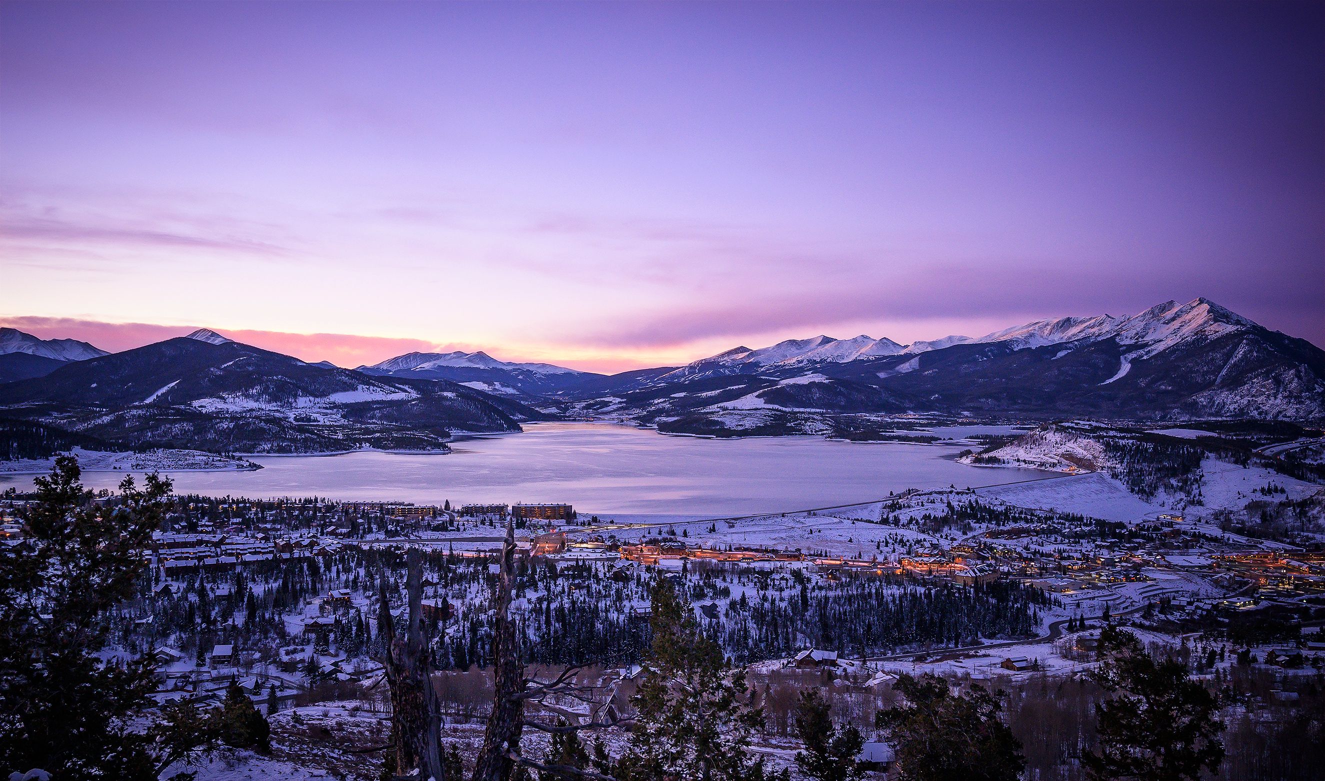 dillon red livebooks.jpg