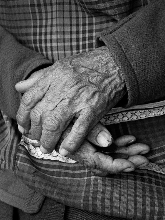 1p1231473_52galapagos_bw