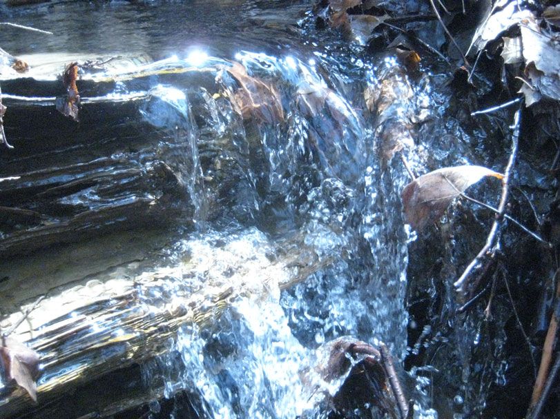 stream-2resize.jpg