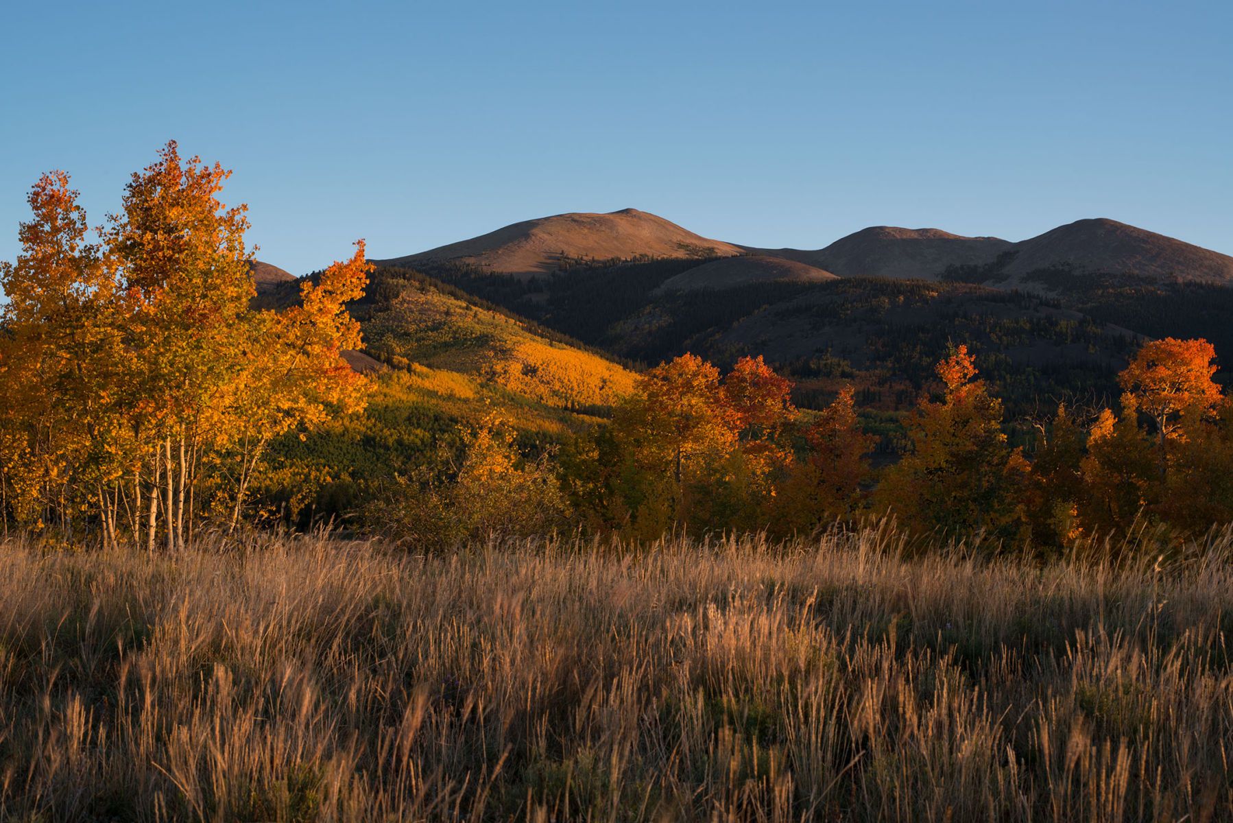 1r27september2014co_04