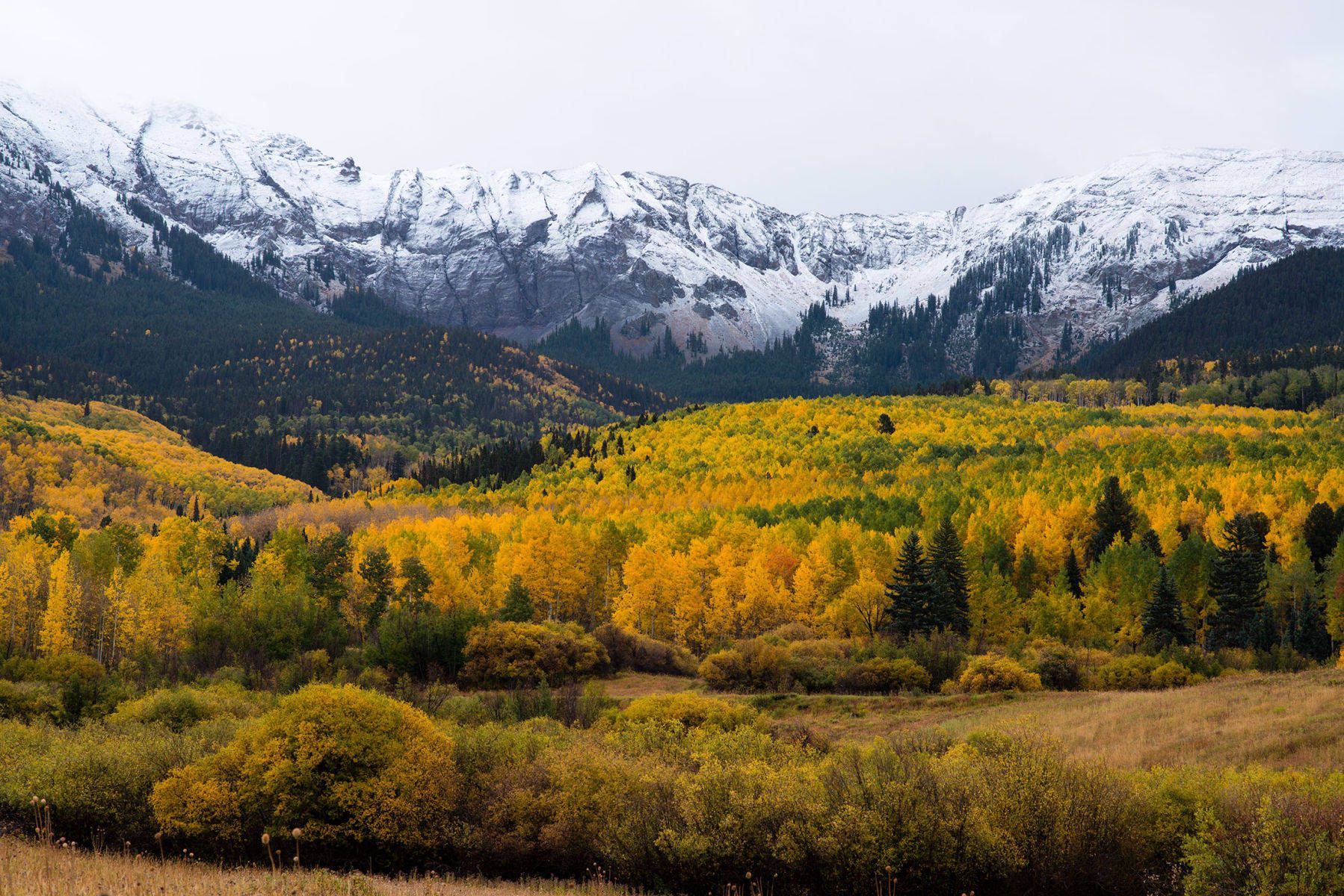 104october2015co_502