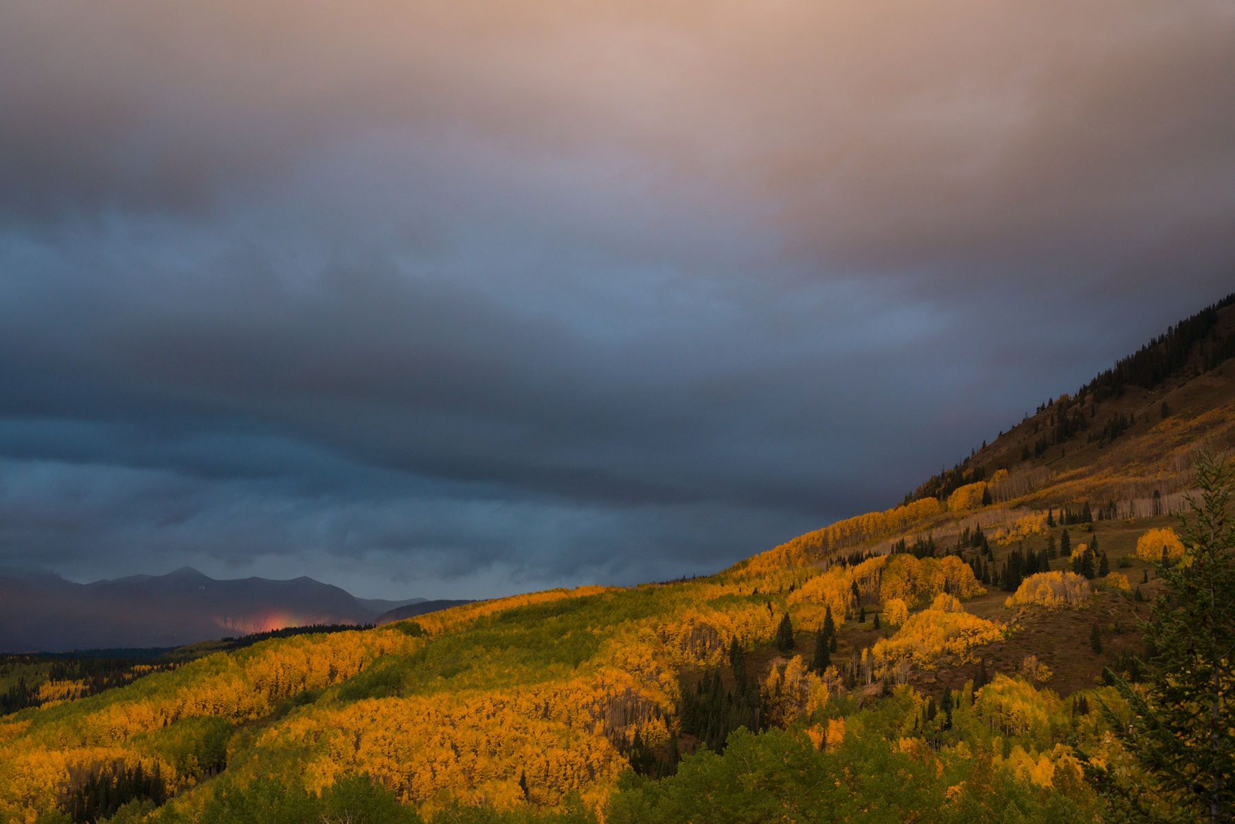 1r28september2014co_03