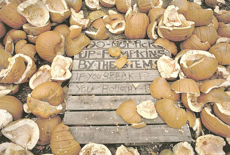 1broken_pumpkins.jpg