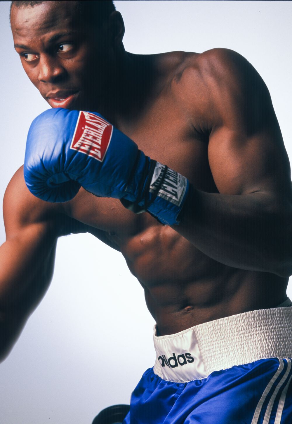 Boxer2.jpg
