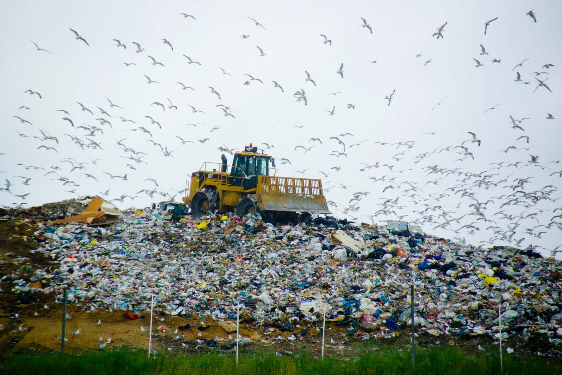 Landfill-with-bulldozer-and-sea-gulls.jpg