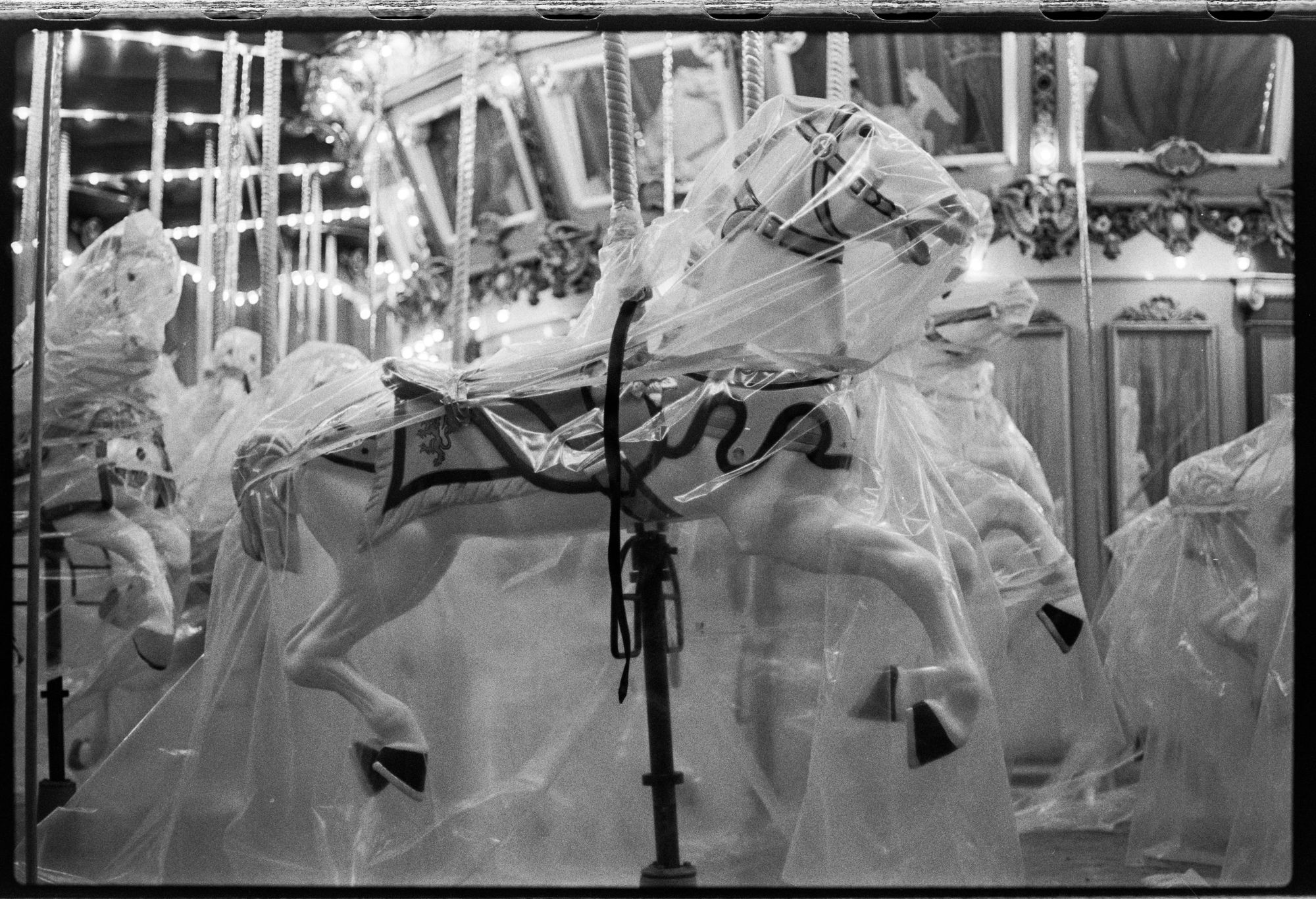 Disneycali011981carouselhorseinplastic.jpg