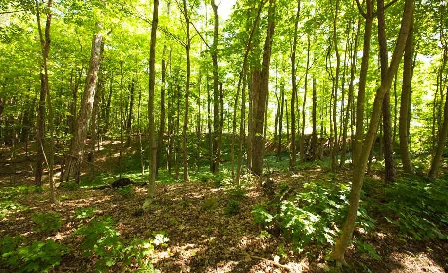 1adirondack_location_rentals_1_026