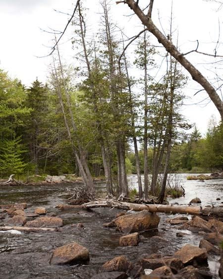 1adirondack_location_scout_2_013