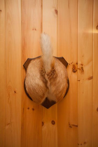 1adirondack_loaction_scout_6_064