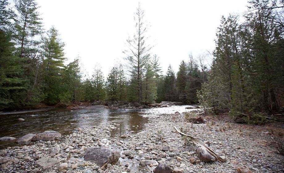 1ghost_town_scout_ny__15